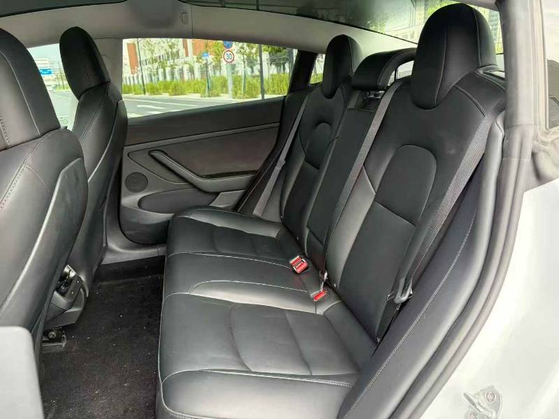Tesla Model 3 2022 car image #7