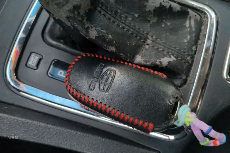 GEELY Emgrand 2016 car image #10