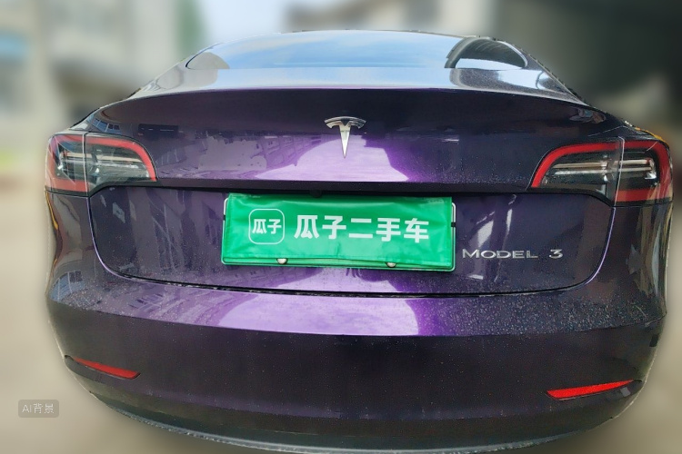 Tesla Model 3 2021 car image #6