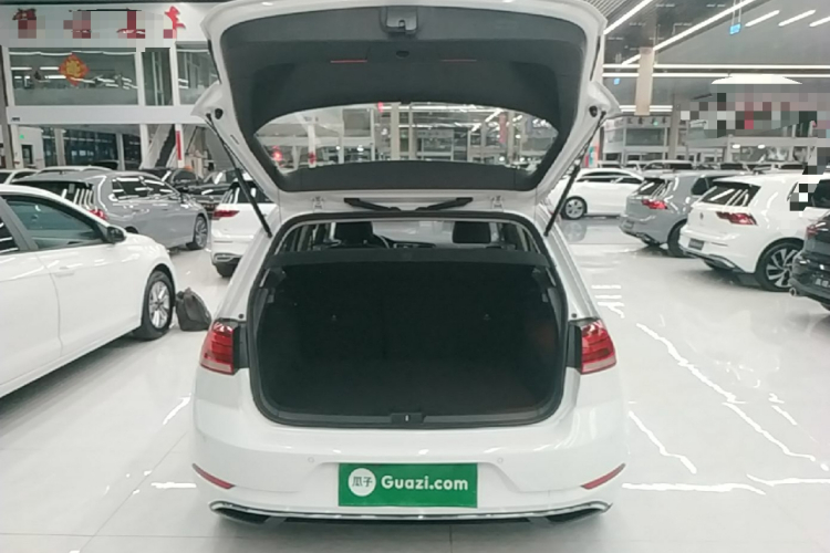 Volkswagen Golf 2019 car image #21