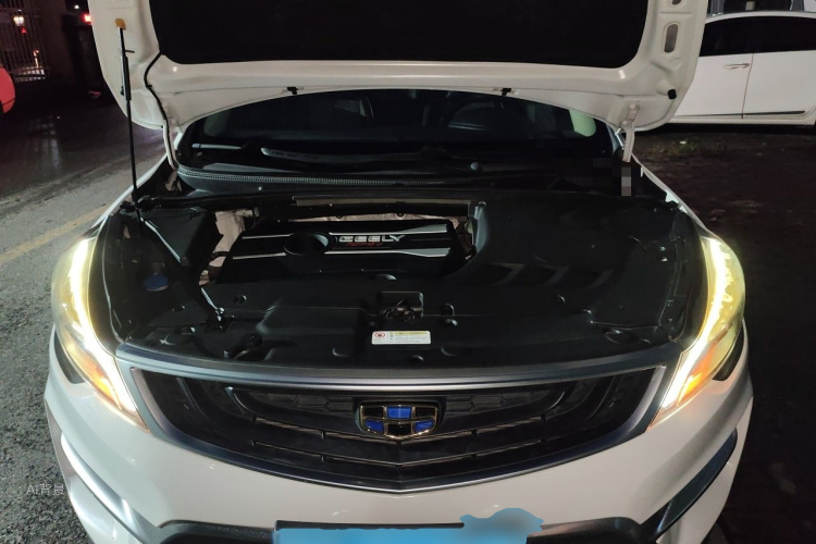 GEELY Emgrand GS 2019 #22 GEELY Emgrand GS 2019 car image #22