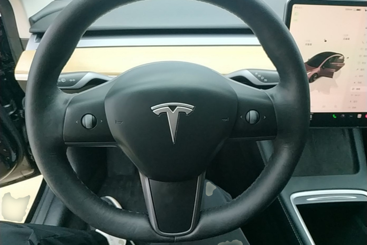 Tesla Model 3 2022 #11 Tesla Model 3 2022 car image #11
