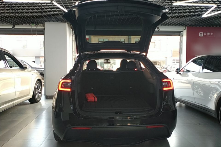 Tesla Model Y 2023 #19 Tesla Model Y 2023 car image #19