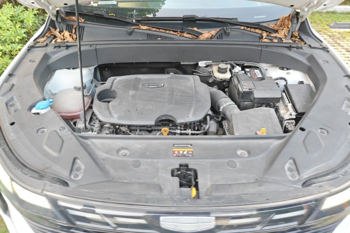 GEELY Boyue L 2022 #10 GEELY Boyue L 2022 imagen de coche #10