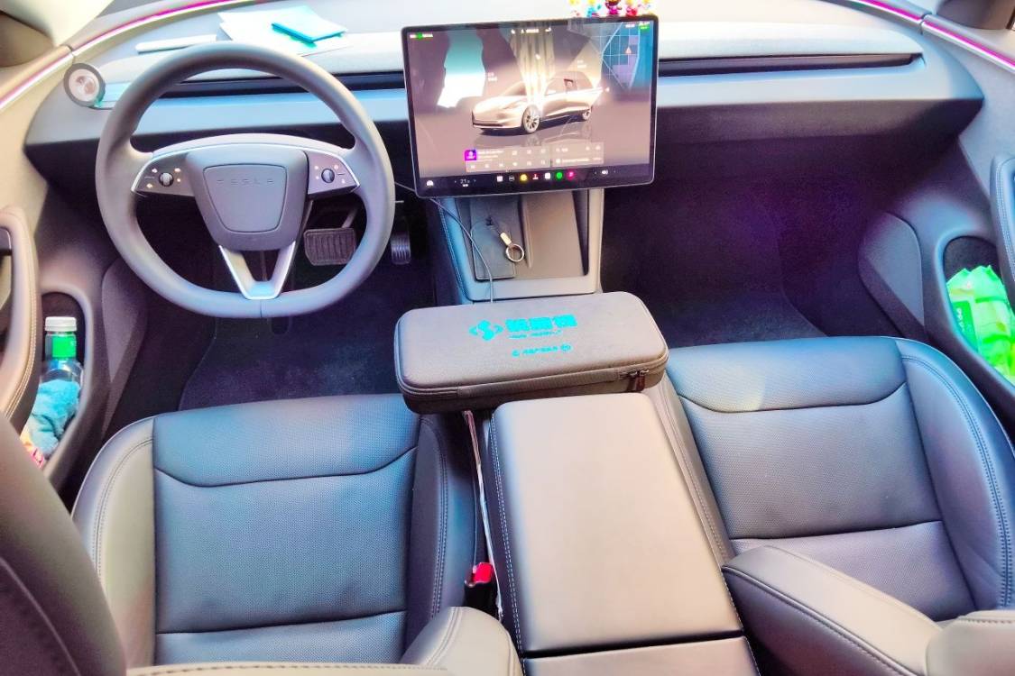 Tesla Model 3 2024 immagine di auto #21