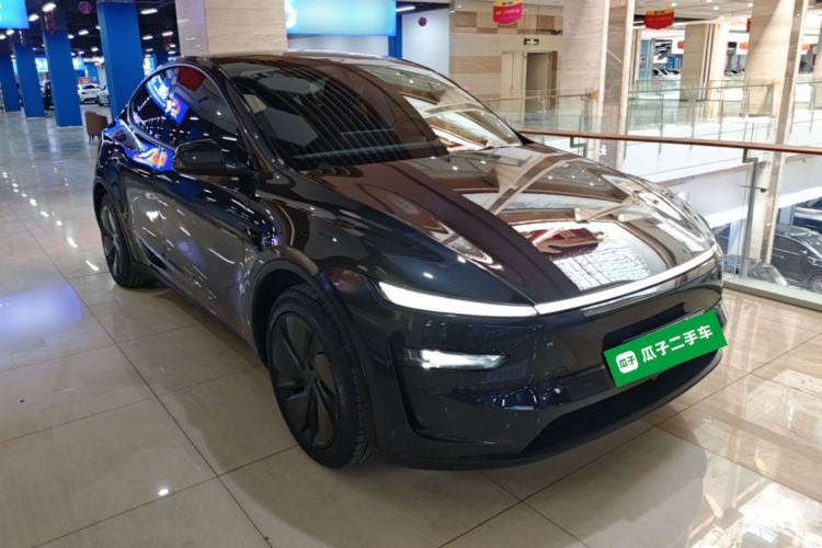 Tesla Model Y 2025 car image #6