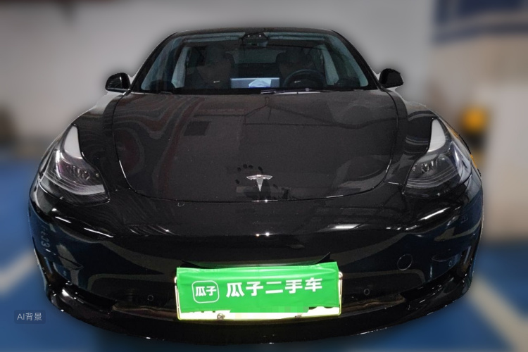 Tesla Model 3 2021 #3 Tesla Model 3 2021 car image #3