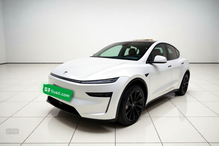 Tesla Model Y 2025 car image #2