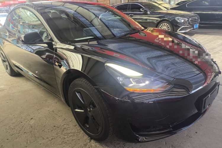 Tesla Model 3 2021 car image #6
