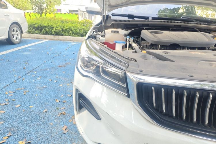 GEELY Emgrand 2023 immagine di auto #8