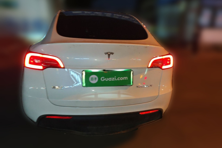 Tesla Model Y 2024 car image #6