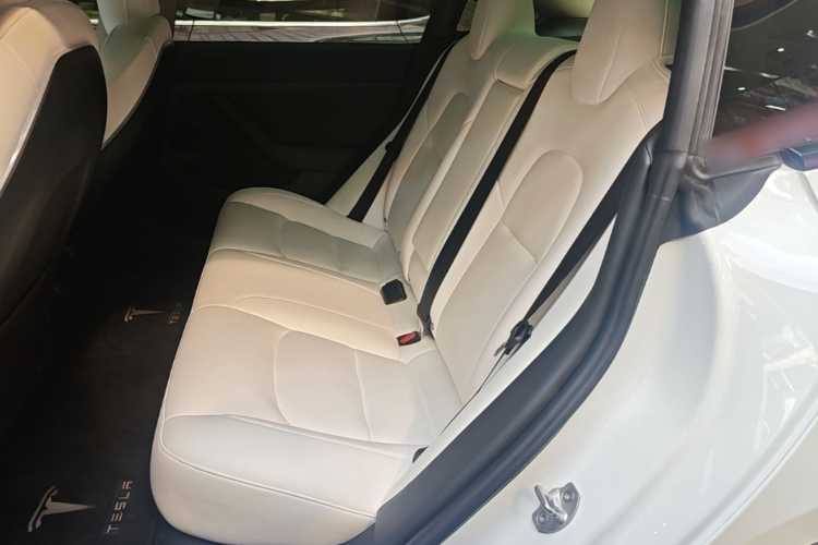 Tesla Model 3 2023 car image #17