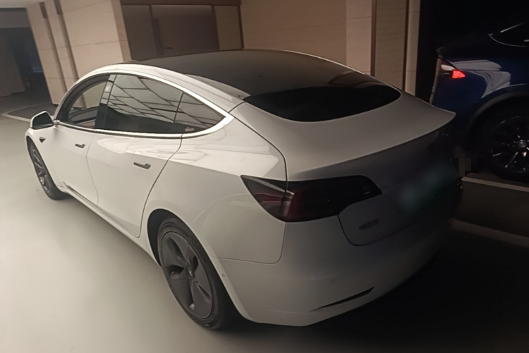 Tesla Model 3 2020 car image #5
