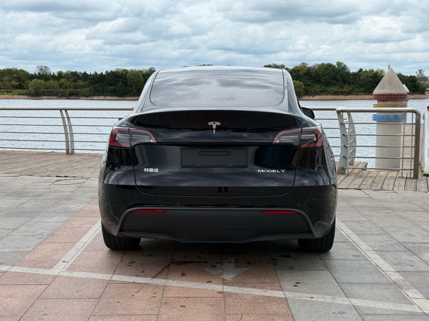 Tesla Model Y 2022 car image #8