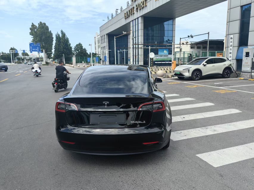 Tesla Model 3 2021 #3 Tesla Model 3 2021 car image #3