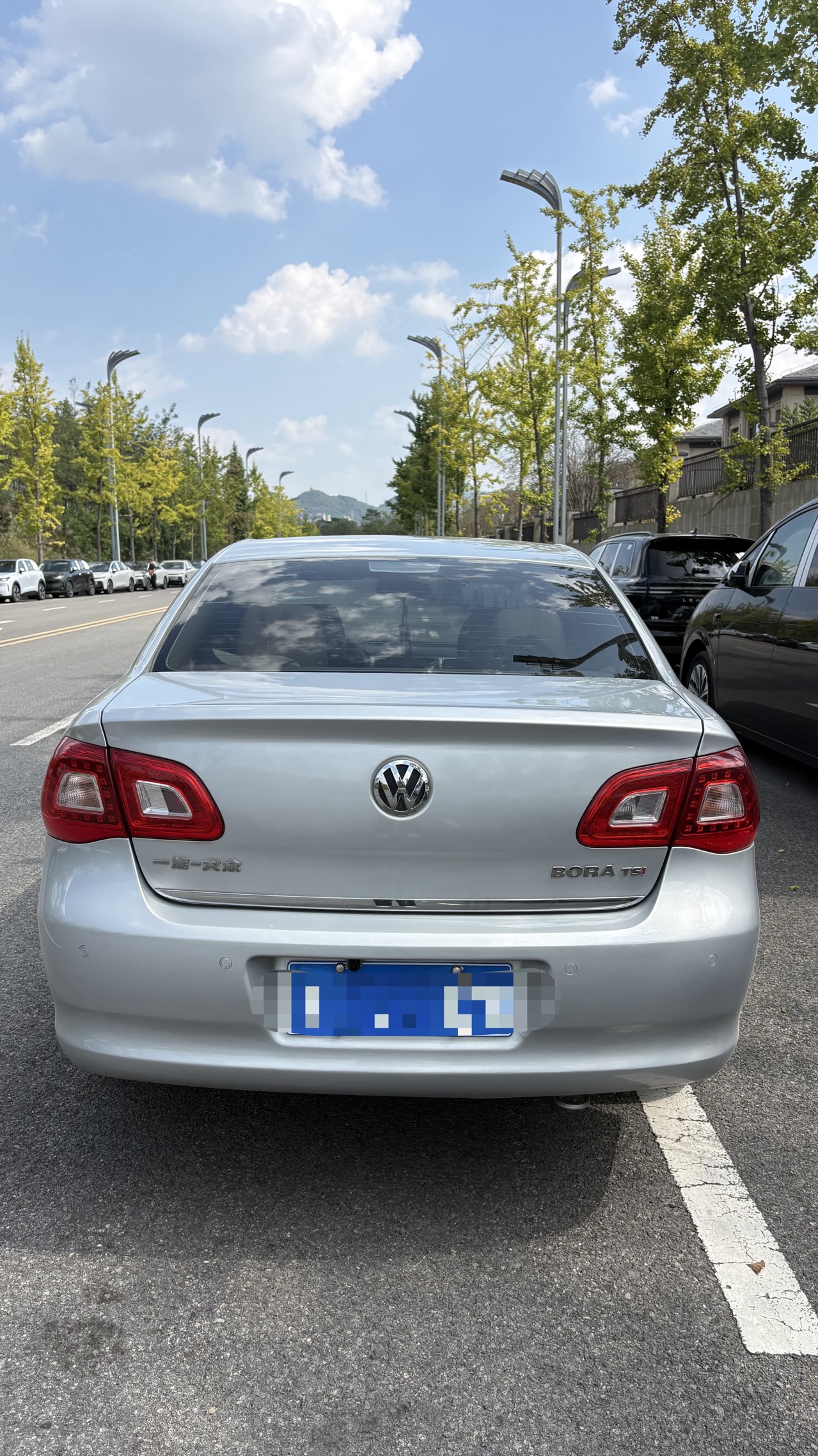 Volkswagen Bora 2010 car image #3