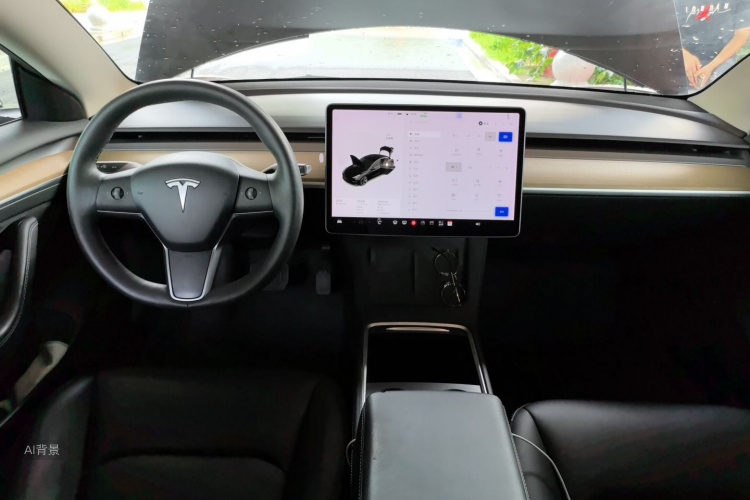 Tesla Model 3 2021 car image #11