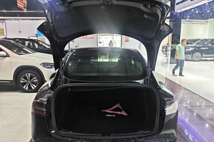 Tesla Model 3 2020 #19 Tesla Model 3 2020 car image #19