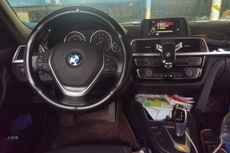 BMW 3 Series 2017 car image #11