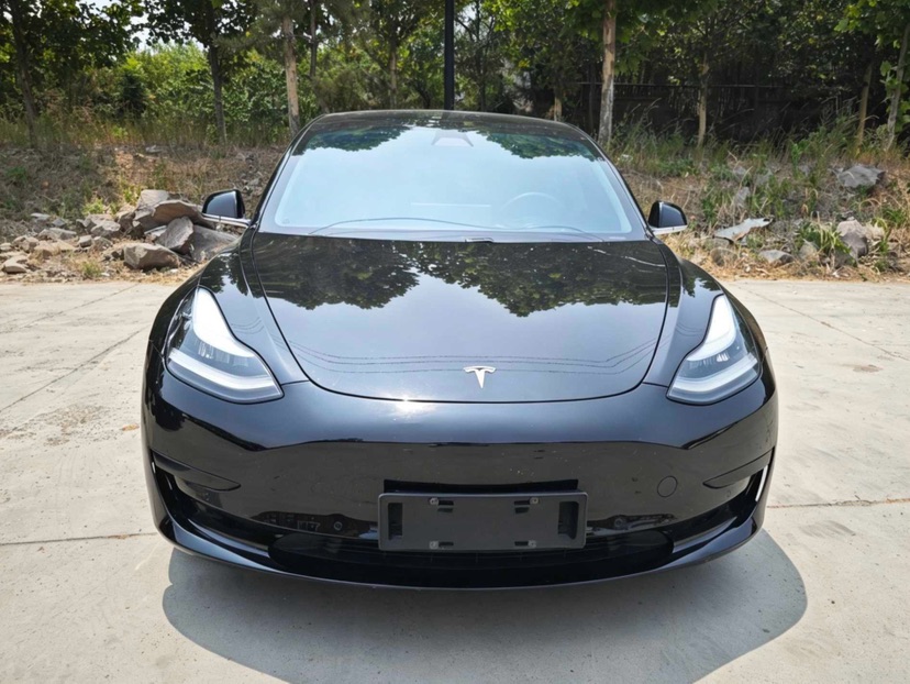 Tesla Model 3 2020 car image #2