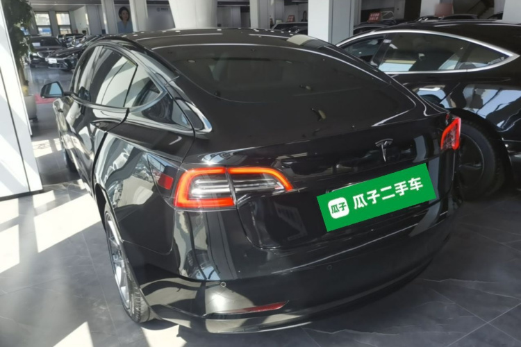 Tesla Model 3 2021 #5 Tesla Model 3 2021 car image #5