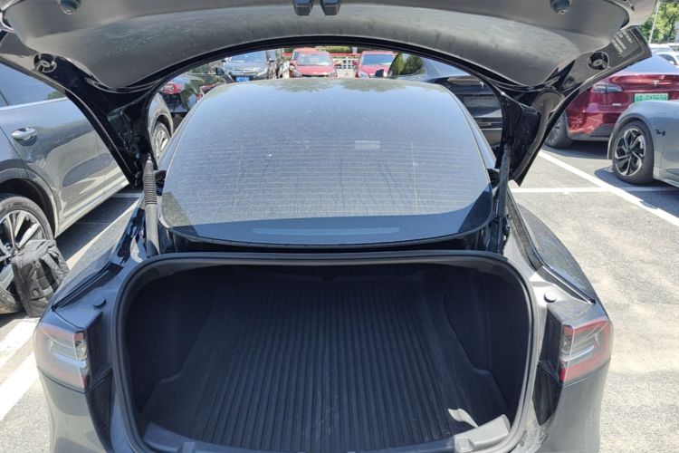 Tesla Model 3 2021 #19 Tesla Model 3 2021 car image #19