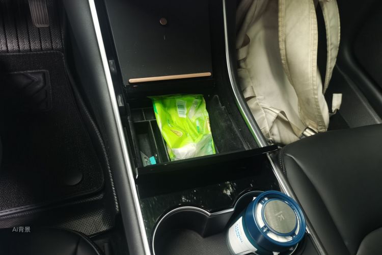Tesla Model 3 2020 car image #16