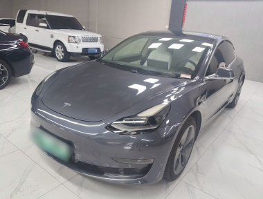 Tesla Model 3 2020 Tesla Model 3 2020 car image