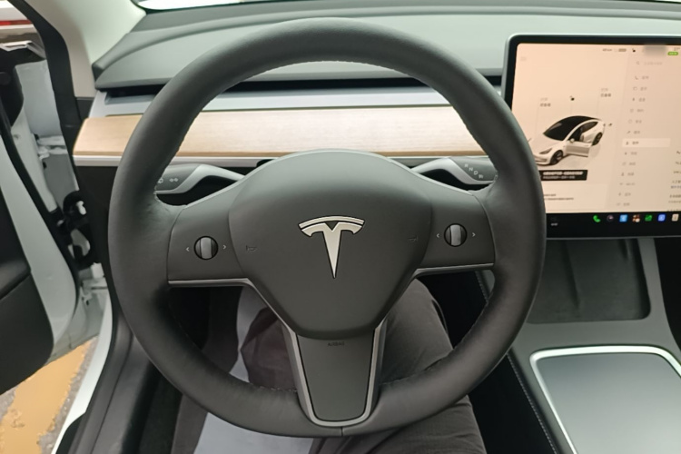 Tesla Model 3 2022 #11 Tesla Model 3 2022 car image #11
