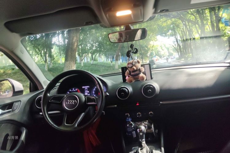 Audi A3 2017 car image #20