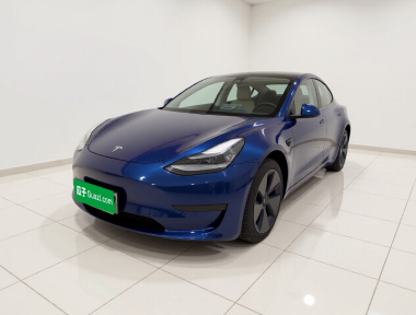 Tesla Model 3 2021 car image 