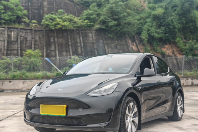 Tesla Model Y 2021 immagine di auto #2