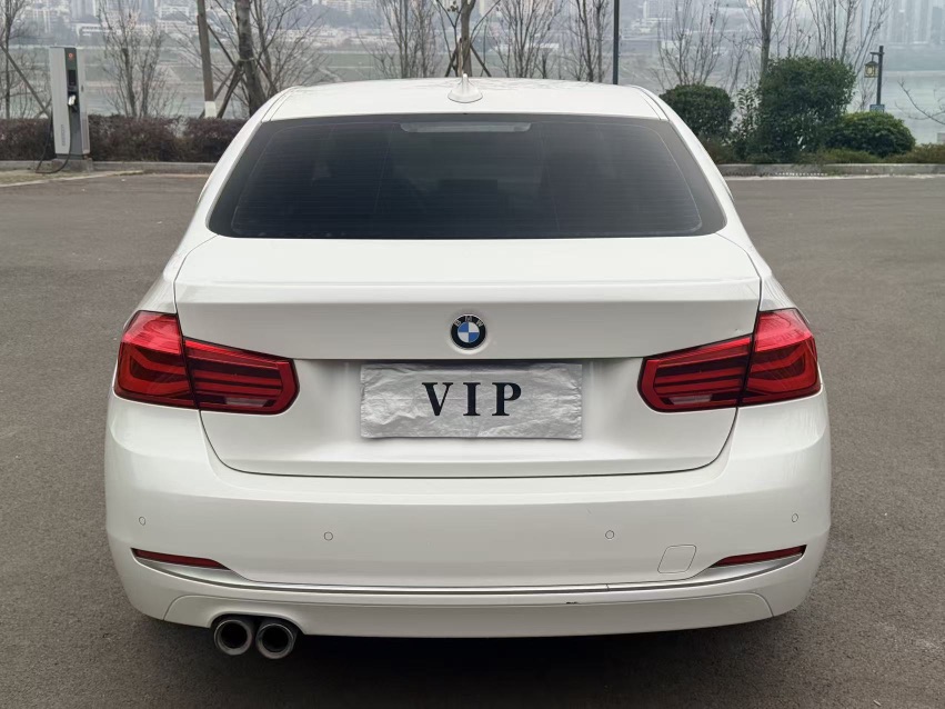 BMW 3 Series 2019 car image #8
