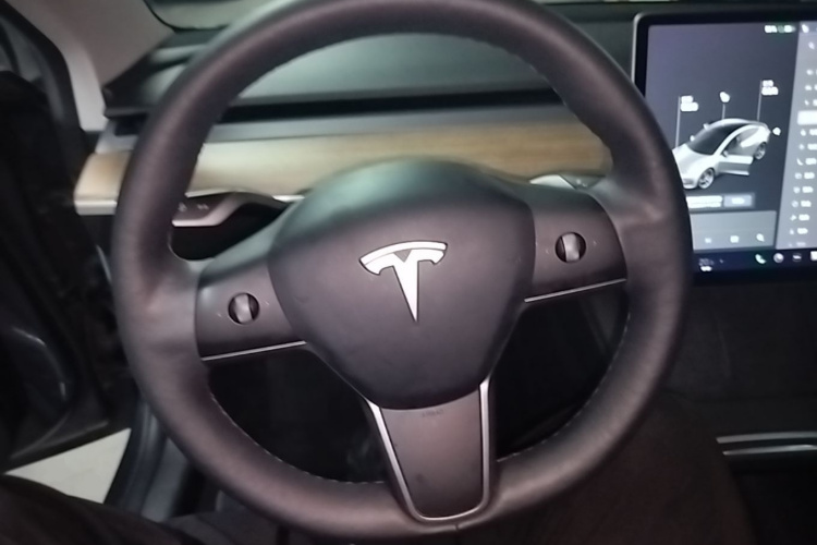 Tesla Model 3 2021 #11 Tesla Model 3 2021 car image #11