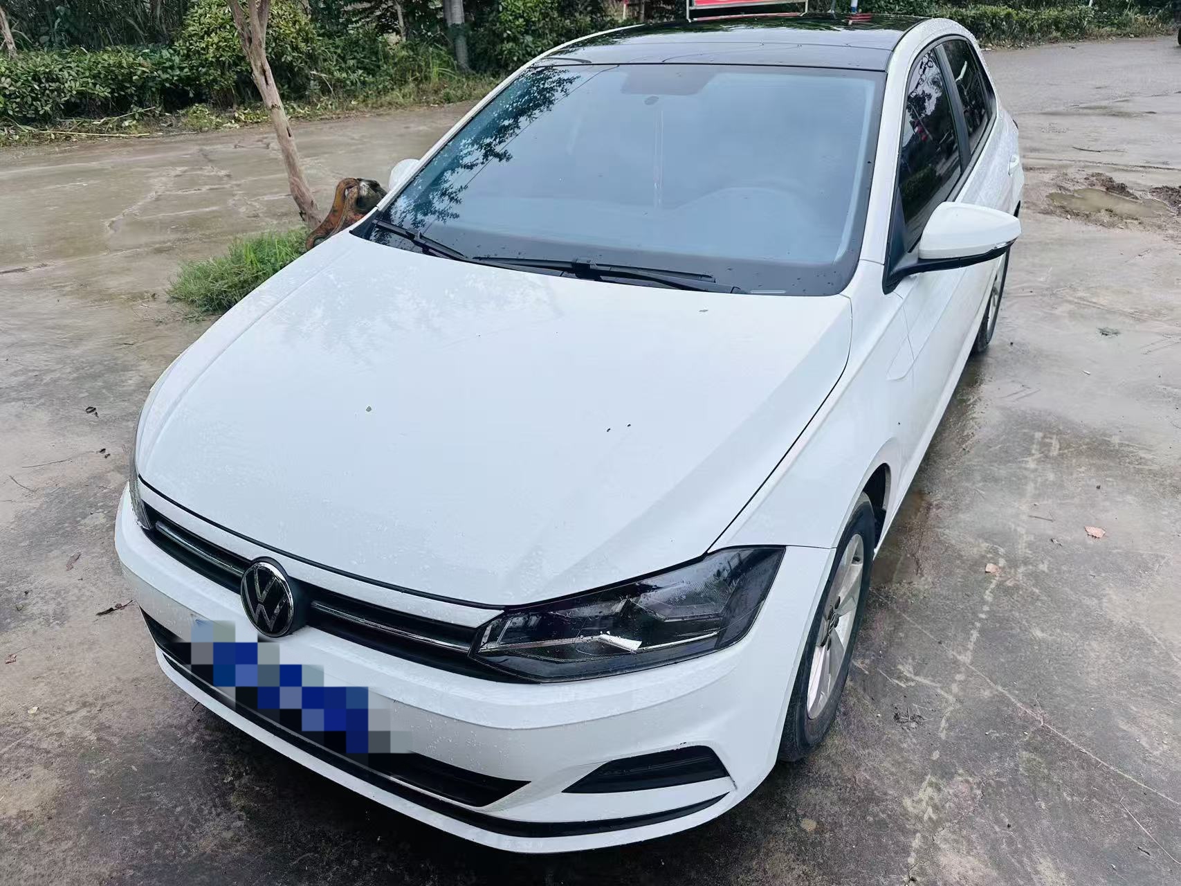 Volkswagen Polo 2024 Volkswagen Polo 2024 car image