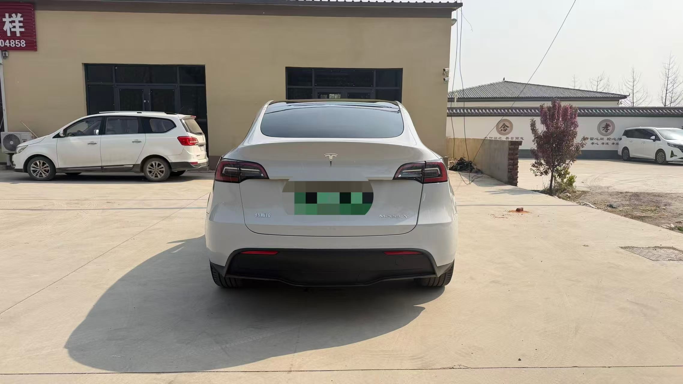 Tesla Model Y 2023 #6 Tesla Model Y 2023 car image #6