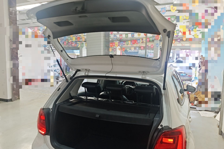 Volkswagen Polo 2016 car image #19