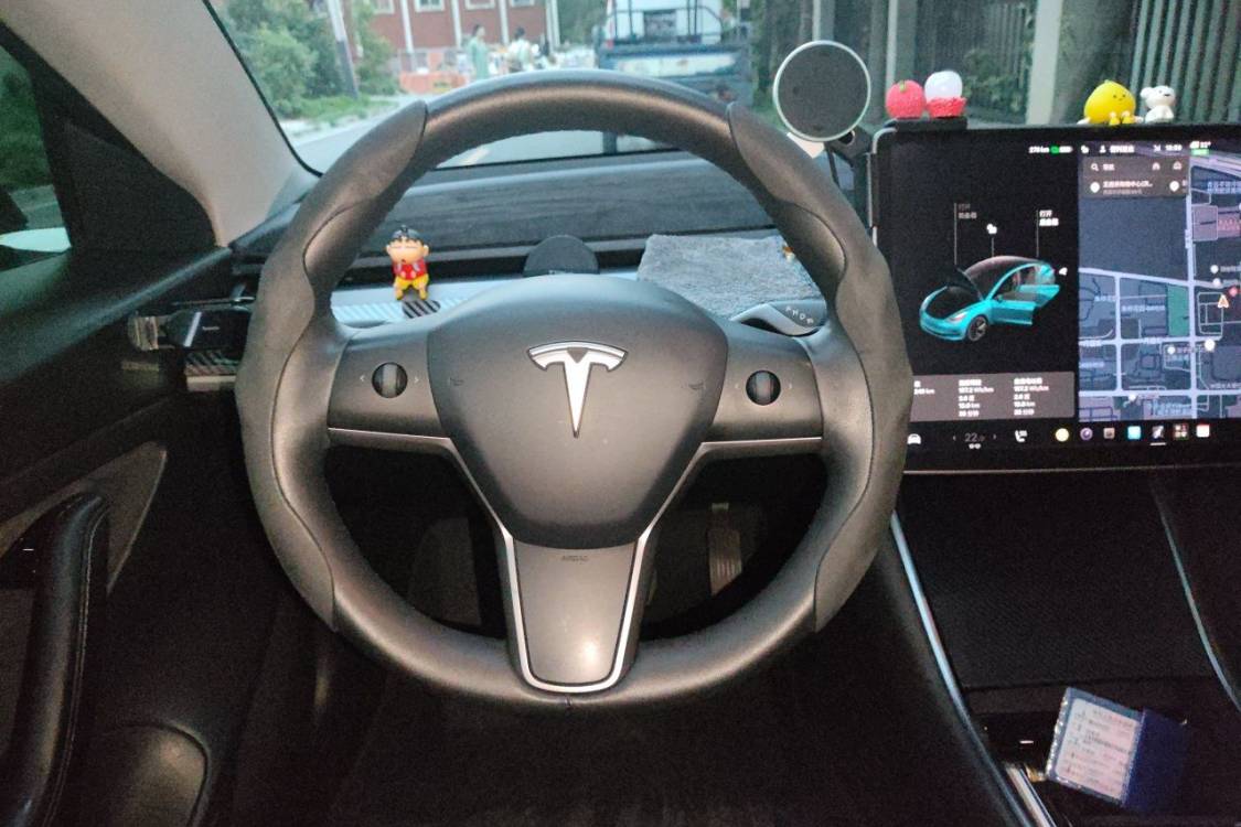 Tesla Model 3 2020 #24 Tesla Model 3 2020 car image #24