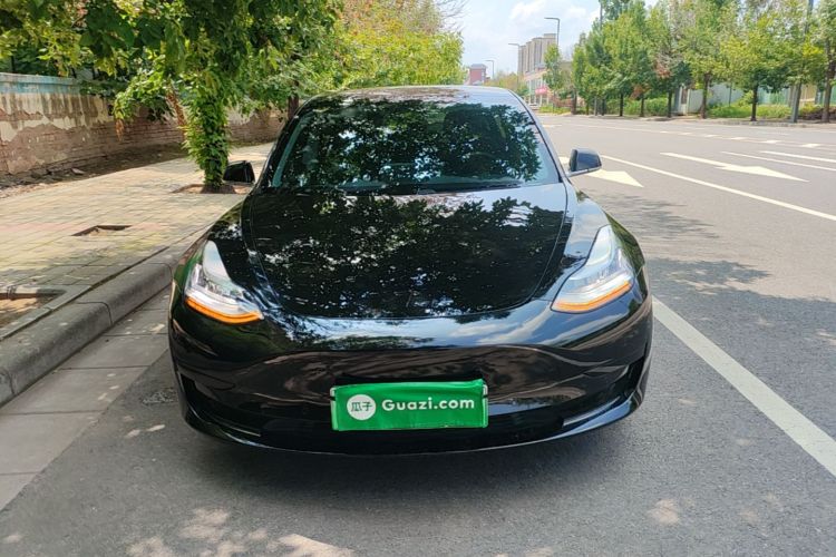 Tesla Model 3 2020 #3 Tesla Model 3 2020 car image #3