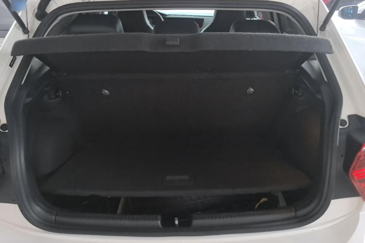 Volkswagen Polo 2019 car image #19
