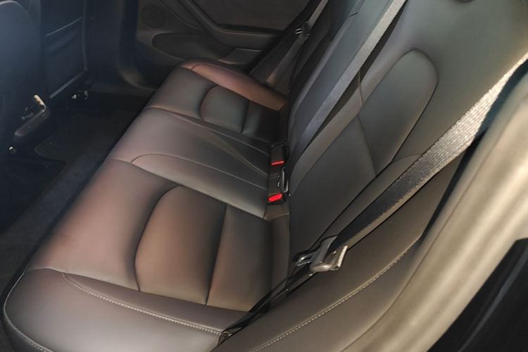 Tesla Model 3 2021 car image #17