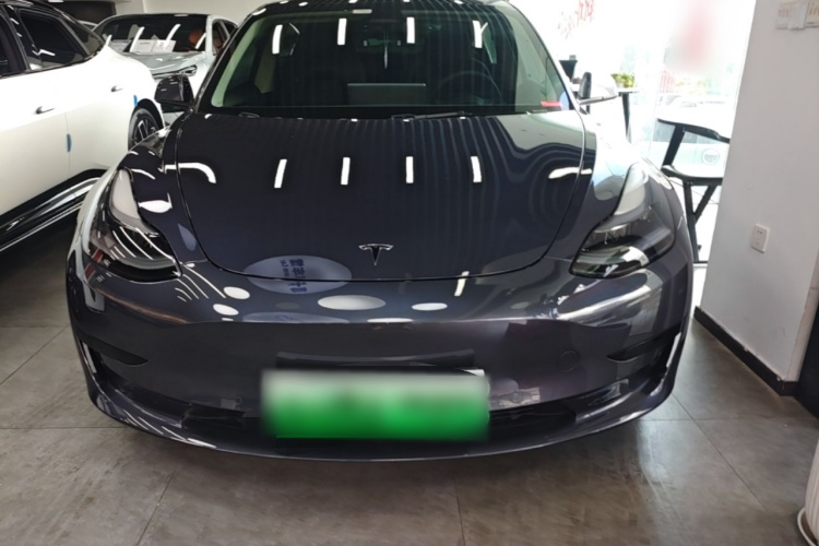 Tesla Model 3 2021 #3 Tesla Model 3 2021 car image #3