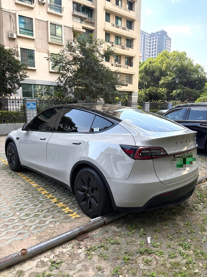 Tesla Model Y 2023 #7 Tesla Model Y 2023 car image #7