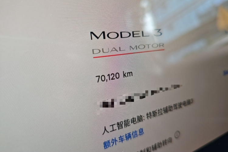 Tesla Model 3 2021 car image #12