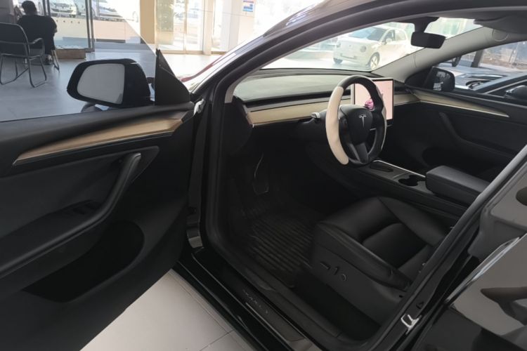 Tesla Model Y 2023 car image #16