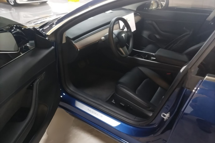 Tesla Model 3 2020 car image #16