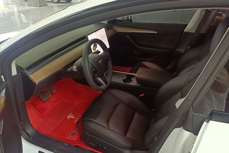 Tesla Model 3 2021 immagine di auto #15