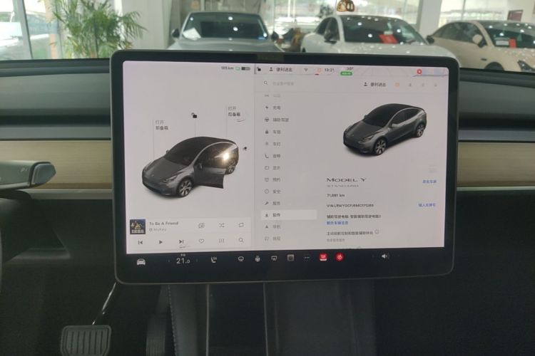 Tesla Model Y 2021 car image #12