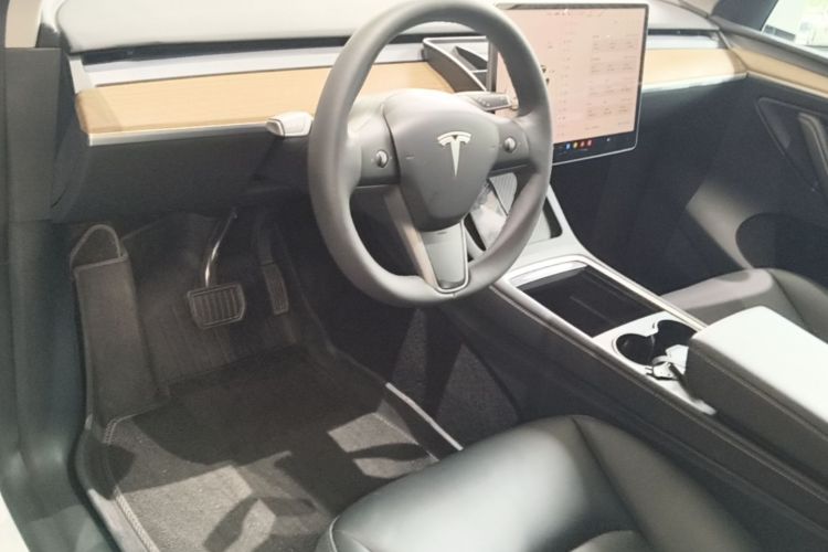 Tesla Model Y 2023 car image #10