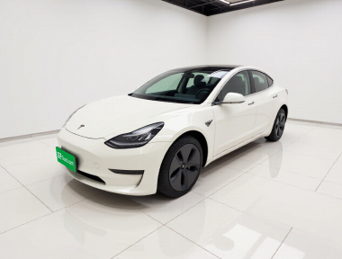 Tesla Model 3 2020 car image 